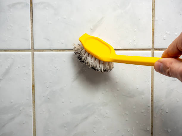 Best Toxic Mold Removal  in Angwin, CA