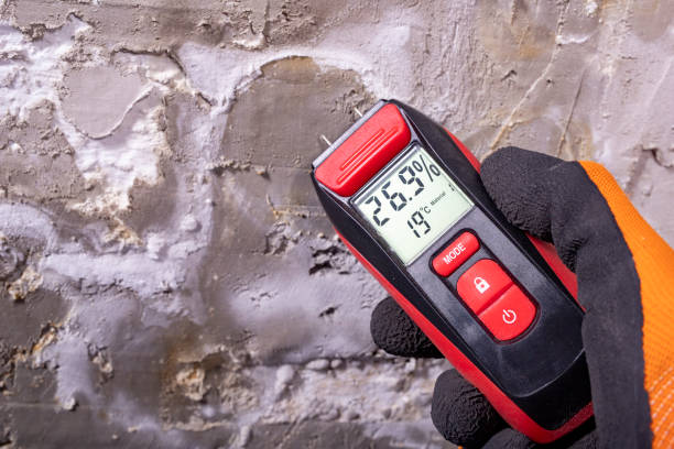 Trusted Angwin, CA Mold Removal Experts