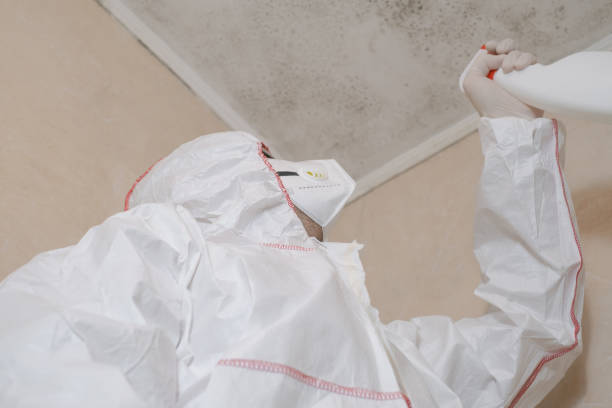Crawl Space Mold Removal in Angwin, CA
