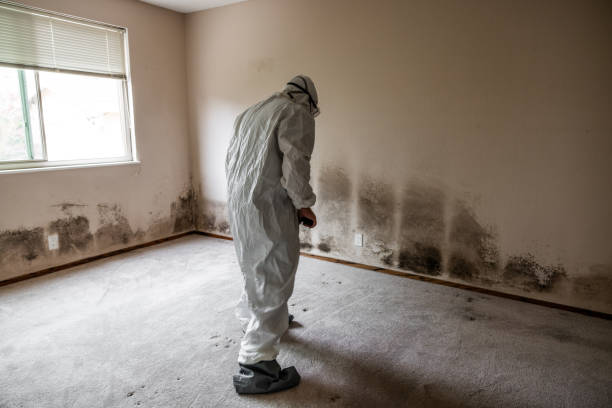 Best Crawl Space Mold Removal  in Angwin, CA